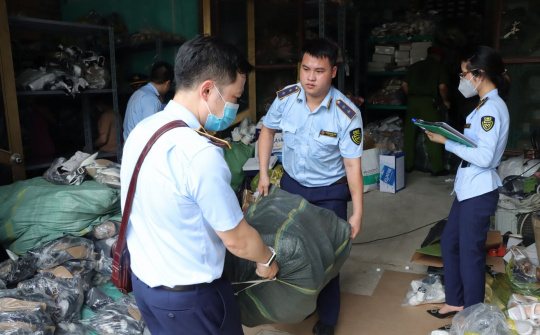 Quy định thẩm quyền ban hành quyết định kiểm tra của Quản lý thị trường