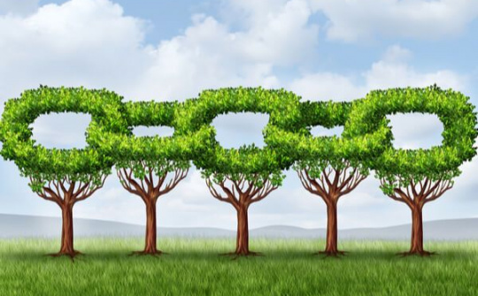 Evaluating the Green Supply Chain Management of electronics and components manufacturers in Vietnam by using the AHP model