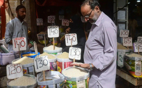 Ấn Độ khẳng định không có kế hoạch hạn chế xuất khẩu gạo