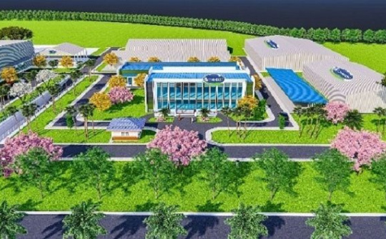 Vinamilk và các công ty con liên tiếp công bố thêm thông tin về các dự án lớn