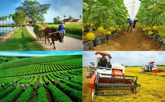 Thúc đẩy sản xuất hàng hóa quy mô lớn trong hợp tác xã nông nghiệp