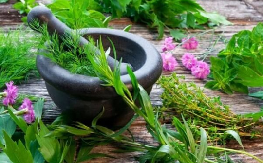 Evaluating bioactivities of Vietnamese herbals for antidiabetics and its long-term complications
