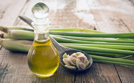 Chưng cất phân đoạn citronellal từ tinh dầu sả java (Cymbopogon winterianus) và tinh dầu bạch đàn chanh (Eucalyptus citriodora)