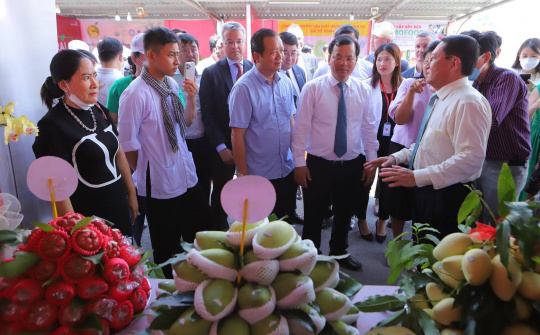 Ngày hội trái cây năm 2022: Từ Tiền Giang đến cả nước qua "cầu nối" Central Retail