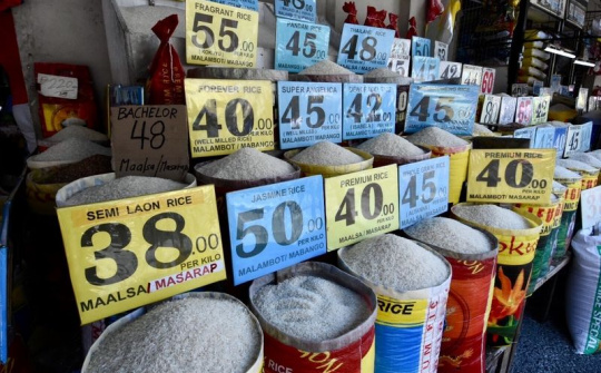 Philippines gia hạn ưu đãi thuế đối với gạo nhập khẩu ngoài khu vực Đông Nam Á