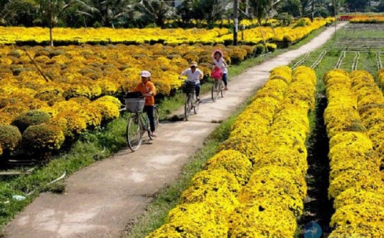 4 địa phương đạt chuẩn, hoàn thành nhiệm vụ xây dựng nông thôn mới