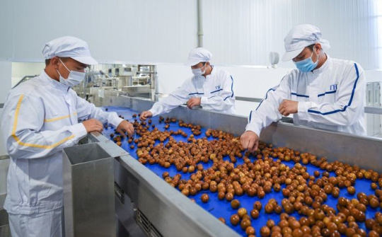 Khuyến công Sơn La: Tập trung đầu tư thiết bị chế biến các sản phẩm từ hoa quả