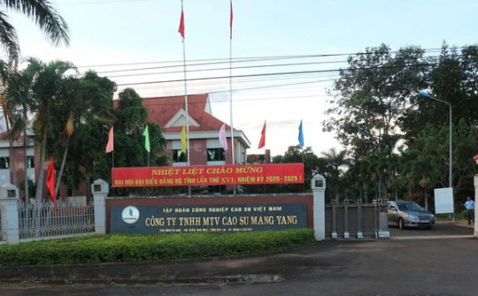 Cao su Mang Yang: Chủ động, linh hoạt thực hiện "mục tiêu kép"