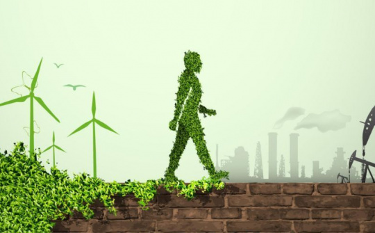 Thúc đẩy triển khai kế toán môi trường trong phát triển nền kinh tế xanh tại các doanh nghiệp Việt Nam