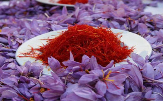 Nghiên cứu sản xuất trà thảo dược nhụy hoa nghệ tây (crocus sativus) và cỏ ngọt (stevia rebaudiana) đóng chai