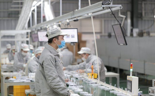 Rạng Đông bứt phá trong hoạt động xuất khẩu