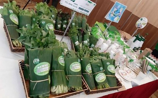 Chìa khoá hướng đến một nền kinh tế xanh