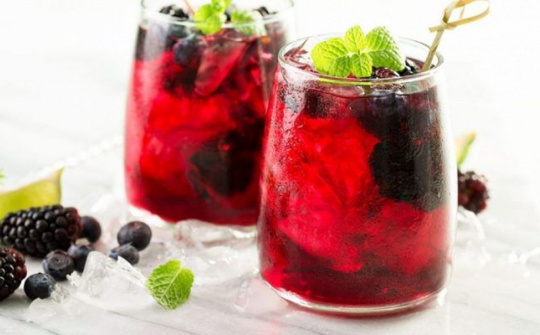 Ảnh hưởng phụ gia bổ sung đến chất lượng sản phẩm si rô dâu tằm (Moruss Alba l.)