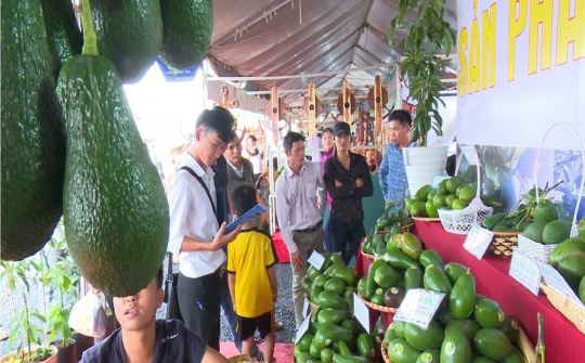 Đào tạo thực chiến Chương trình “Bệ phóng Thương mại điện tử Tây Nguyên”