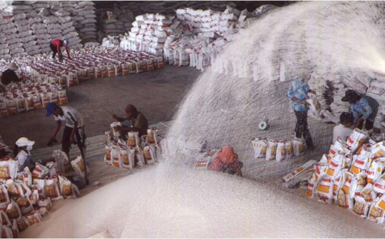 Bảo đảm vững chắc an ninh lương thực quốc gia 6 tháng cuối năm 2022