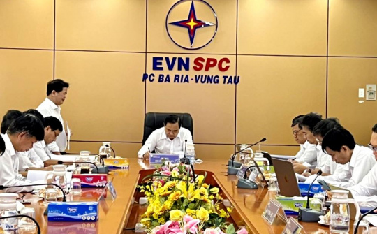 Điện lực Bà Rịa - Vũng Tàu: Dự kiến lắp đặt 100% công tơ đo xa vào cuối năm 2022