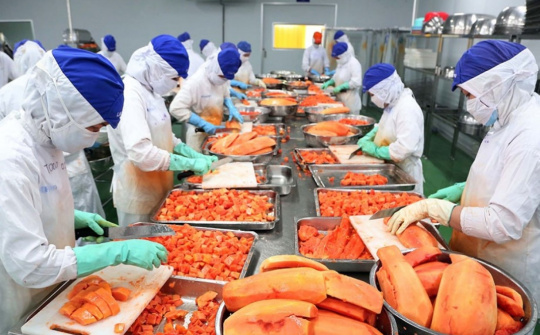 Việt Nam phấn đấu vào top 10 trung tâm chế biến nông sản thế giới