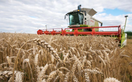 Giá ngũ cốc trên sàn CBOT tiếp tục chịu áp lực giảm, Nga – Ukraine đạt thoả thuận “giải phóng” hàng triệu tấn ngũ cốc ra thị trường