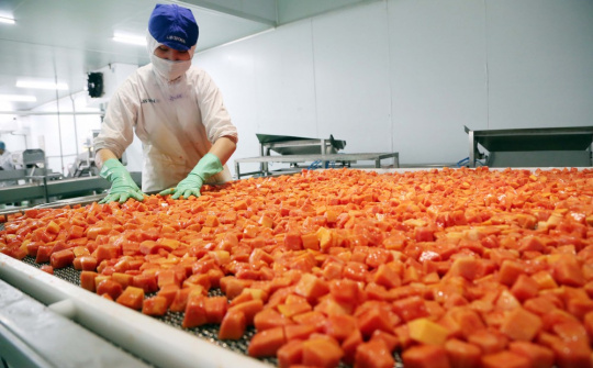 Xây dựng mô hình đánh giá hiệu suất năng lực kinh doanh thương mại của doanh nghiệp xuất khẩu nông phẩm