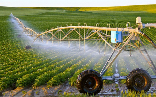 Đào tạo nghề cho nông nghiệp công nghệ cao ở Việt Nam