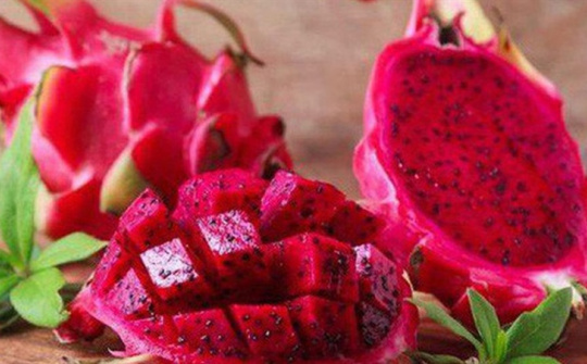 Giải pháp phát triển bền vững vùng sản xuất thanh long tỉnh Trà Vinh