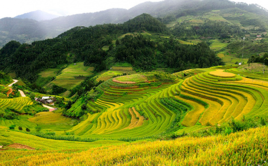 Phân bón Văn Điển: "Khoác áo mới" cho nông sản miền núi phía Bắc