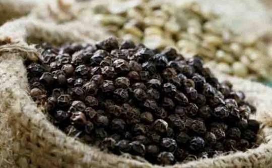 Tháng 6/2022, xuất khẩu hạt tiêu tăng trở lại