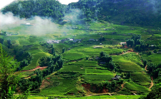 Xem và nghĩ về rác