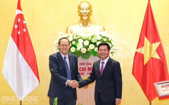 Việt Nam - Singapore: Thúc đẩy hợp tác trong lĩnh vực thương mại, kinh tế số và năng lượng