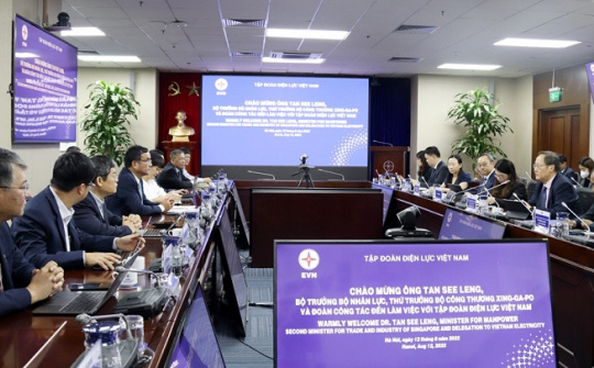 EVN tăng cường hợp tác lĩnh vực năng lượng với Singapore