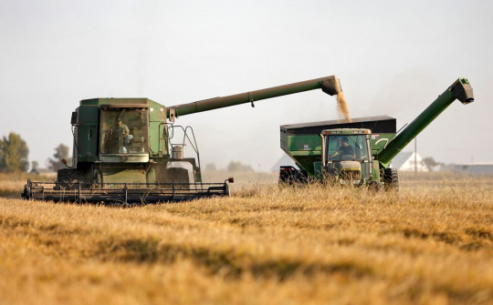 Giá ngũ cốc trên sàn CBOT diễn biến bất ngờ trước các thông tin mới về triển vọng cung cầu nông sản thế giới
