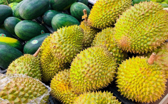 Hỗ trợ doanh nghiệp xuất khẩu sầu riêng, chanh leo sang Trung Quốc