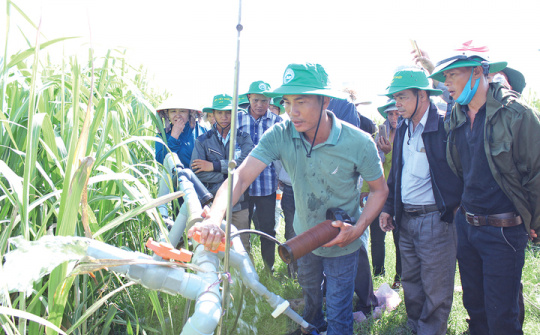 Thành Thành Công Gia Lai: Gia tăng giá trị cây mía nhờ công nghệ