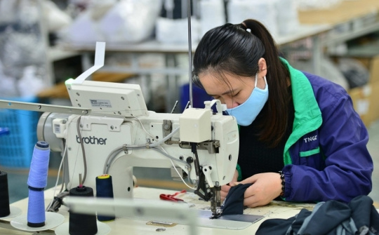 TNG: Doanh thu 7 tháng vượt 4.000 tỷ, lợi nhuận tăng mạnh 47%