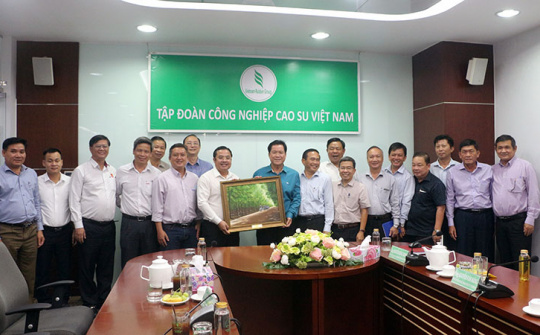 Tăng cường hợp tác giữa Tập đoàn Hóa chất Việt Nam và Tập đoàn Công nghiệp Cao su Việt Nam