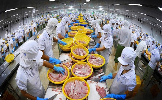 Dự báo xuất khẩu cá tra sang Mexico năm 2022 tăng 80% so cùng kỳ