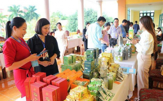 Chương trình khuyến công quốc gia hỗ trợ phát triển bền vững chương trình OCOP