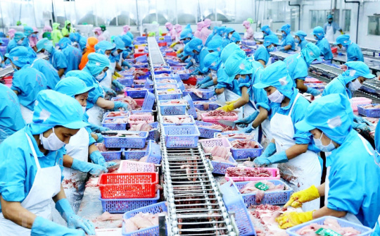 Nâng cao giá trị và khả năng cạnh tranh của thủy sản Việt Nam