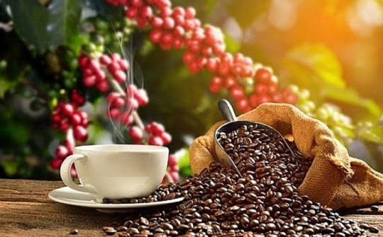 Xuất khẩu cà phê sang Hoa Kỳ giảm về lượng, tăng về trị giá