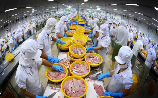 7 tháng, xuất khẩu thủy sản sang Bỉ tăng 74,32%