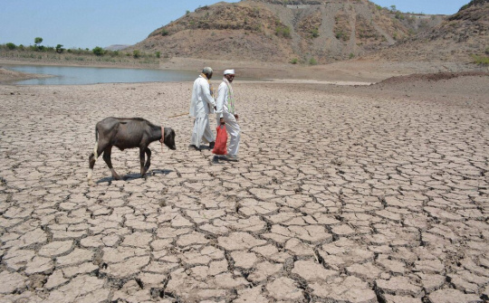 Rủi ro khủng hoảng lương thực toàn cầu tăng cao khi hạn hán nghiêm trọng diễn ra tại nhiều quốc gia