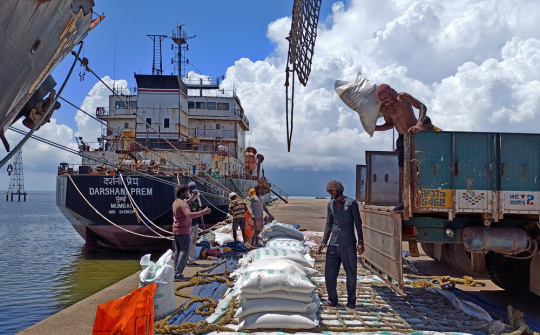 Bloomberg: Ấn Độ thảo luận khả năng hạn chế xuất khẩu gạo 100% tấm