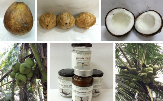 Nghiên cứu chế biến một số sản phẩm từ quả dừa Sáp làm nguyên liệu phục vụ sản xuất các sản phẩm thực phẩm, mỹ phẩm