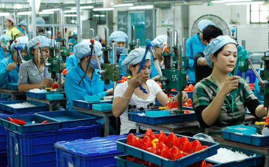 Tiềm năng và định hướng phát triển doanh nghiệp nhỏ và vừa tại tỉnh Quảng Nam