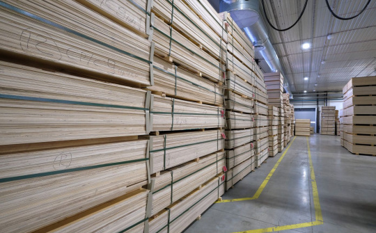 DOC: Gỗ dán Việt Nam có thể dùng cơ chế tự xác nhận để được loại trừ thuế chống lẩn tránh