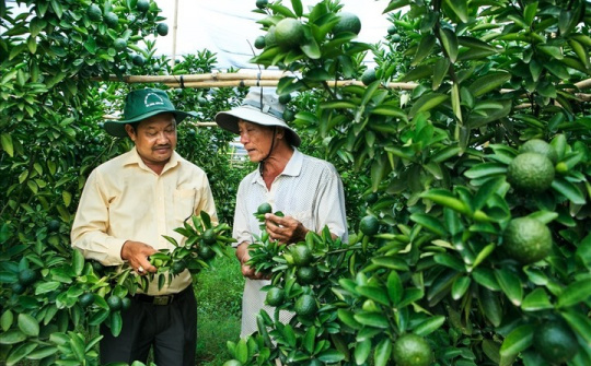 Huyện Bắc Tân Uyên (Bình Dương):  Đột phá mới trong phát triển kinh tế - xã hội