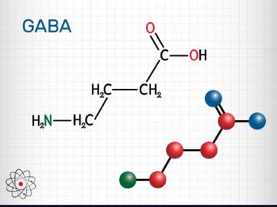 Dự án sản xuất thử nghiệm chế phẩm axit gamma amino butyric (GABA) và thực phẩm chức năng giàu GABA từ gạo lứt, đậu tương