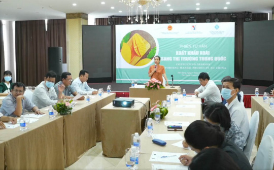 Xuất khẩu xoài sang Trung Quốc: Cần đáp ứng được những yêu cầu, quy định mới