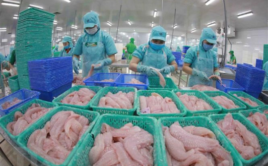 Xuất khẩu thủy sản sang Nga tăng mạnh