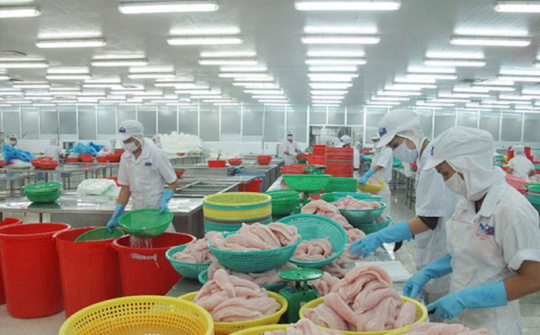 Xuất khẩu thủy sản tháng 8/2022 trở lại mức 1 tỷ USD